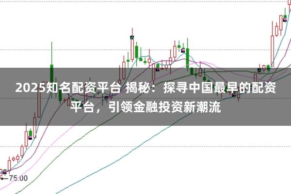 2025知名配资平台 揭秘：探寻中国最早的配资平台，引领金融投资新潮流
