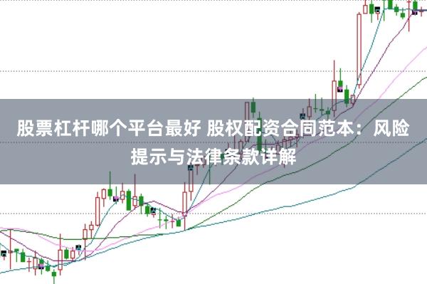 股票杠杆哪个平台最好 股权配资合同范本：风险提示与法律条款详解