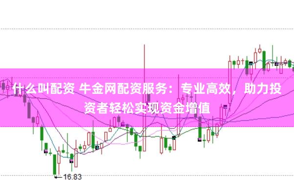 什么叫配资 牛金网配资服务：专业高效，助力投资者轻松实现资金增值