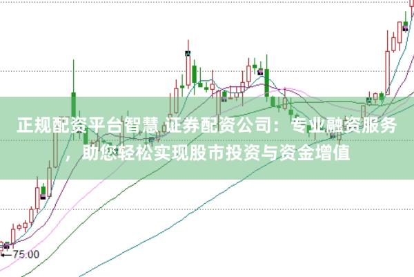 正规配资平台智慧 证券配资公司：专业融资服务，助您轻松实现股市投资与资金增值
