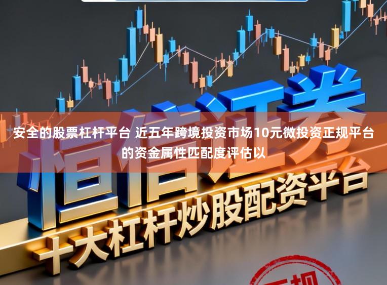 安全的股票杠杆平台 近五年跨境投资市场10元微投资正规平台的资金属性匹配度评估以