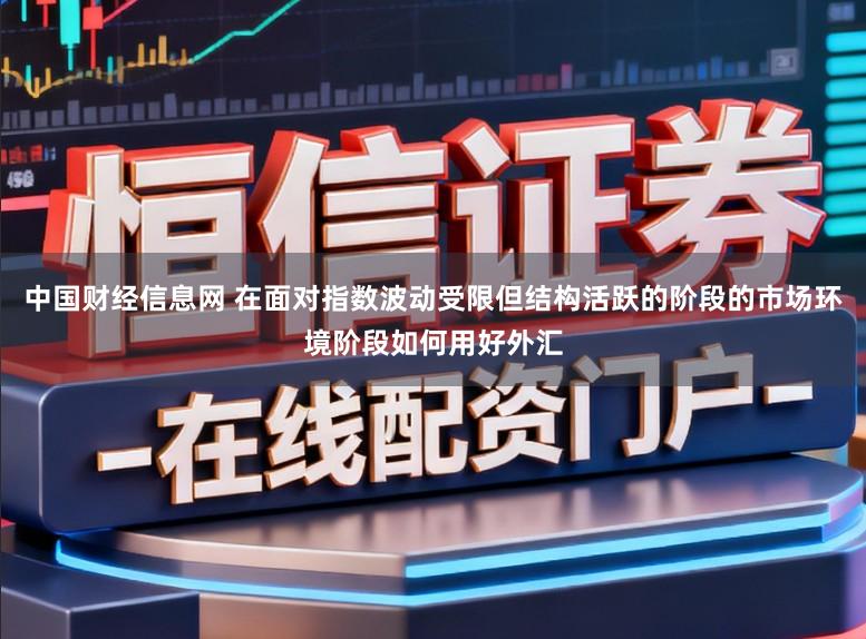 中国财经信息网 在面对指数波动受限但结构活跃的阶段的市场环境阶段如何用好外汇